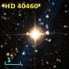 HD  40460