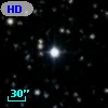HD 250305