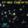 Cl* NGC 2168      M      75