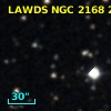 WD J0608+245