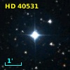 HD  40531