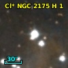 Cl* NGC 2175      H       1