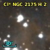 Cl* NGC 2175      H       2