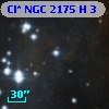 Cl* NGC 2175      H       3