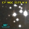 Cl* NGC 2175      H       4