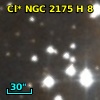 Cl* NGC 2175      H       8