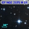 Cl* NGC 2175      H      11