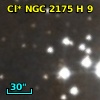Cl* NGC 2175      H       9