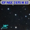 Cl* NGC 2175      H      12