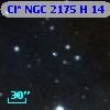 Cl* NGC 2175      H      14