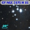 Cl* NGC 2175      H      15