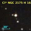 Cl* NGC 2175      H      16