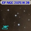 Cl* NGC 2175      H      20