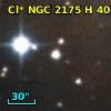 Cl* NGC 2175      H      40