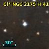 Cl* NGC 2175      H      41