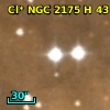 Cl* NGC 2175      H      43