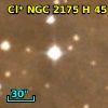Cl* NGC 2175      H      45