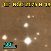 Cl* NGC 2175      H      49