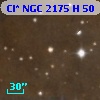 Cl* NGC 2175      H      50