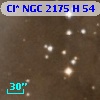 Cl* NGC 2175      H      54