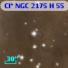 Cl* NGC 2175      H      55