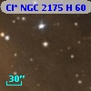 Cl* NGC 2175      H      60