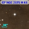 Cl* NGC 2175      H      61