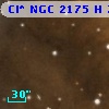 Cl* NGC 2175      H      73