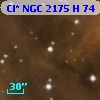 Cl* NGC 2175      H      74