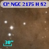 Cl* NGC 2175      H      82
