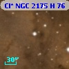 Cl* NGC 2175      H      76