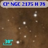 Cl* NGC 2175      H      78