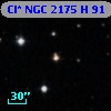 Cl* NGC 2175      H      91