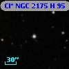 Cl* NGC 2175      H      95
