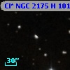 Cl* NGC 2175      H     101