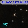 Cl* NGC 2175      H     102