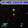 Cl* NGC 2175      H     104