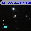 Cl* NGC 2175      H     105