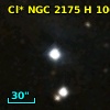 Cl* NGC 2175      H     106