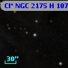 Cl* NGC 2175      H     107