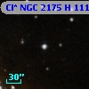 Cl* NGC 2175      H     111