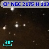 Cl* NGC 2175      H     113
