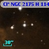 Cl* NGC 2175      H     114