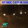 Cl* NGC 2175      H     115