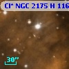 Cl* NGC 2175      H     116