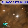 Cl* NGC 2175      H     117