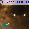 Cl* NGC 2175      H     119