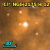 Cl* NGC 2175      H     120