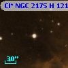 Cl* NGC 2175      H     121