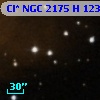 Cl* NGC 2175      H     123